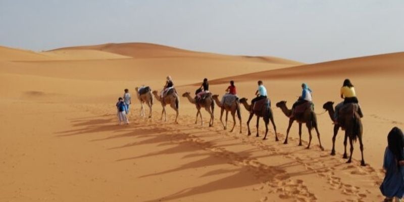 Excursion en Chameau Tunisie